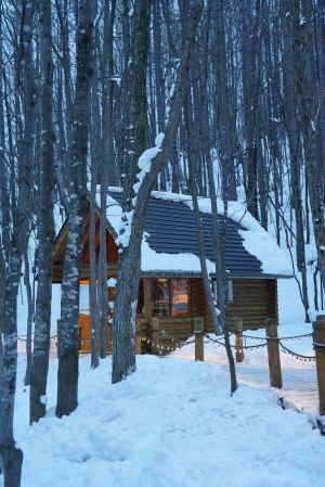 城镇,都市,建筑