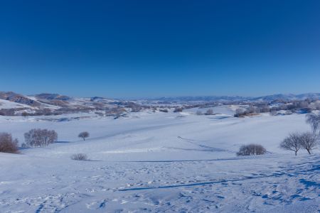 冰雪,山峦,湖泊,自然风光,天空,灌木,树木,全景