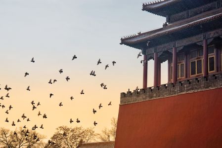 北京,景点,建筑,历史古迹,故宫,角楼,传统建筑,城楼,日出,日落,特写,城镇,古典园林
