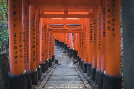 建筑,景点,千本鸟居,自然风光,国外