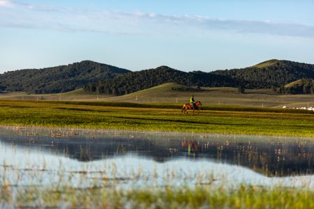草原,湖泊,自然风光,天空,动物,马,植物,青草,树木,山川,森林,白云,全身像,环境人像