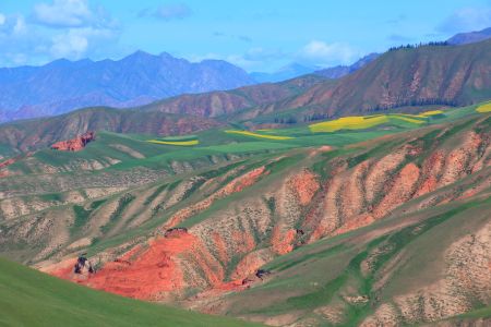 山川,植物,青海,自然风光,中国,草原,天空