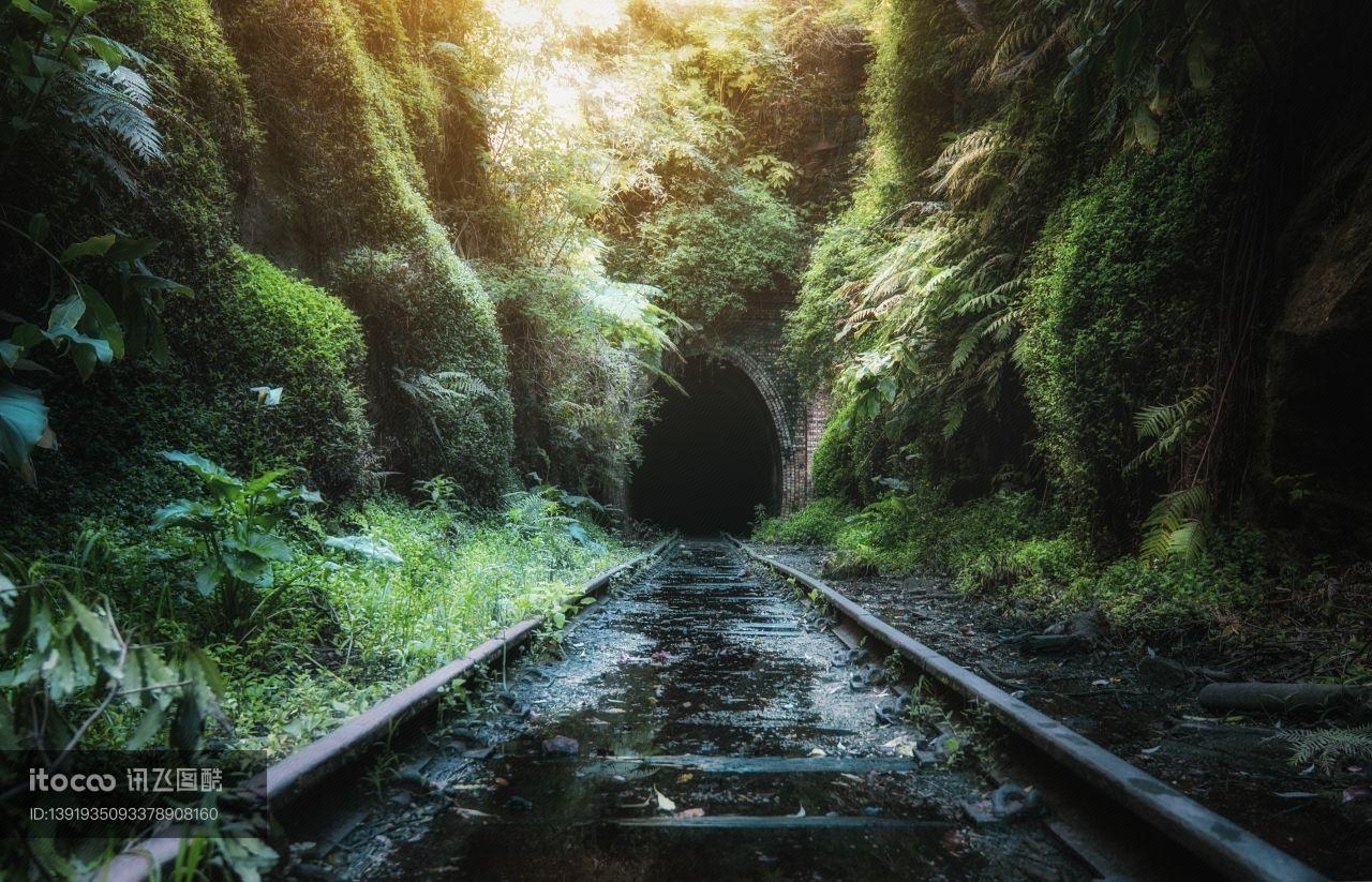 丛林隧道