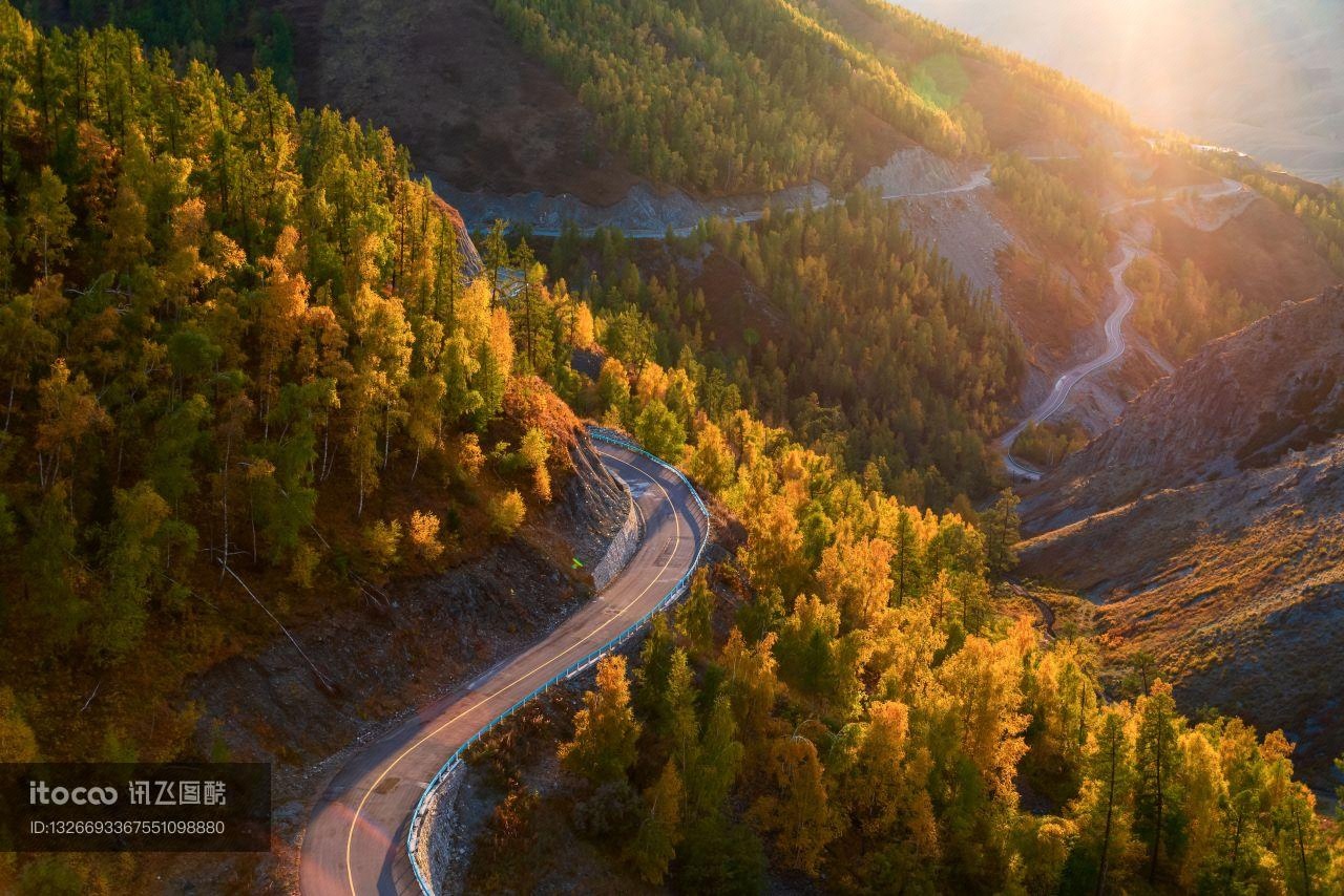 自然风光,森林,道路