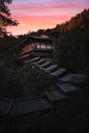 仰拍,晚霞,历史古迹,自然风光,森林,植物,树木,建筑,天空