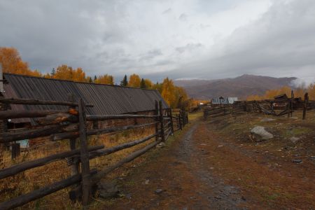 自然风光,秋天,村镇