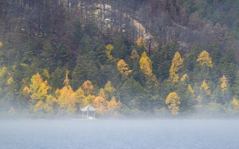 江河,森林,山川,全景,自然风光