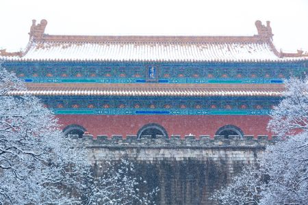 历史古迹,特写,仰拍,建筑,城镇,雪,冬天,天空,植物,树木