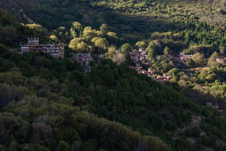 中国,俯瞰,植物,四川,森林,树木,川西,自然风光,山川,村镇,建筑,峡谷