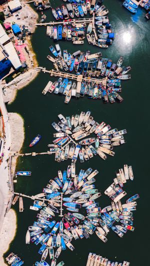 交通工具,船,俯瞰,海洋,城镇