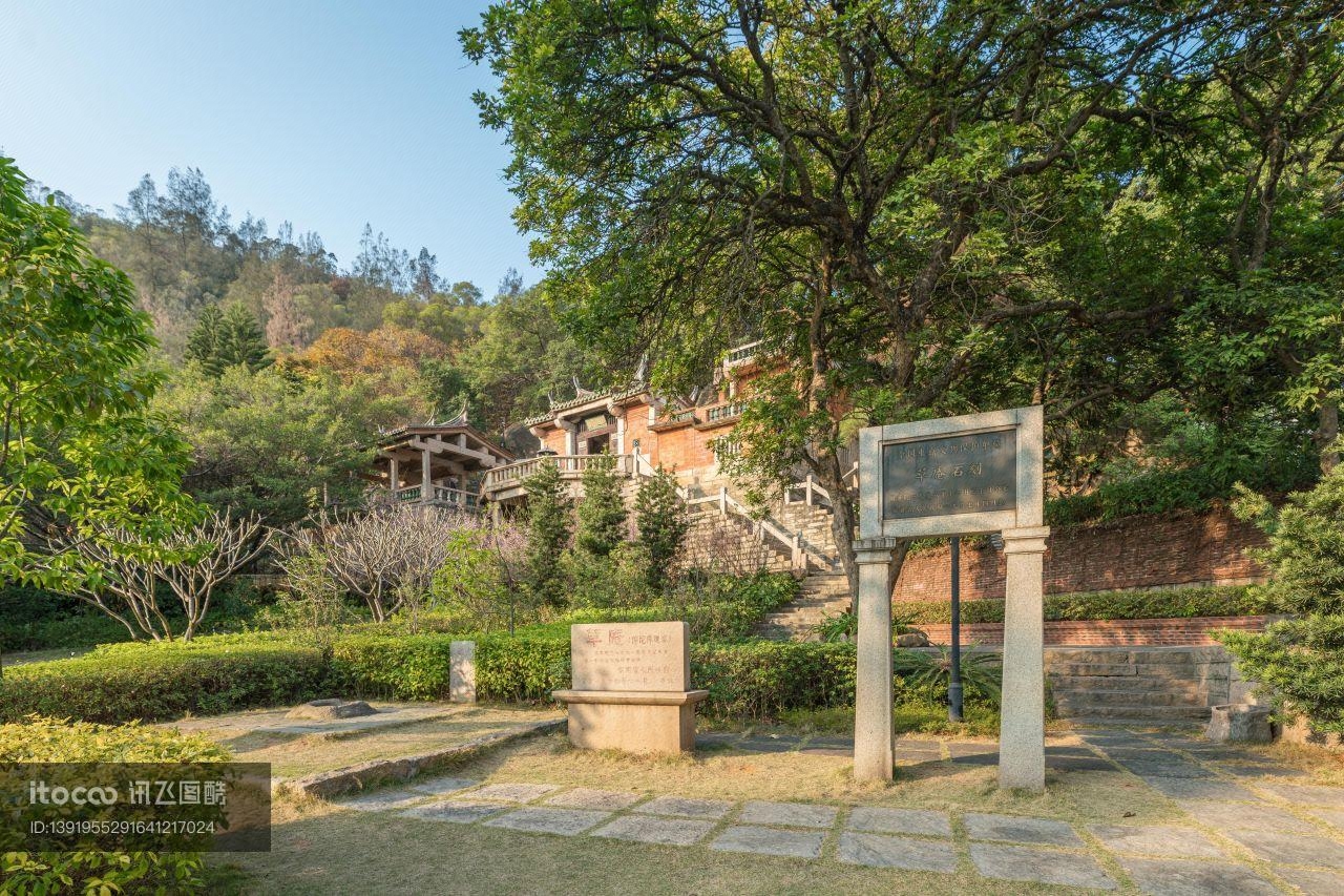 植物,寺塔,树