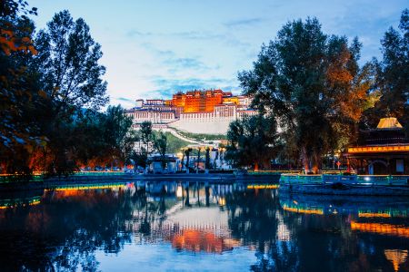 西藏,历史古迹,景点,建筑,布达拉宫,镜面,城镇,全景,植物,树木,宗教文化,天空