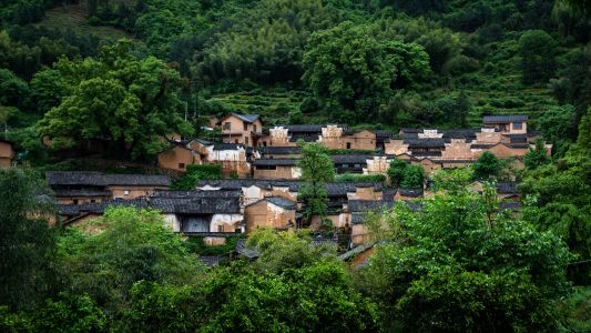 俯瞰,航拍,民居,传统建筑,建筑,历史古迹,城镇,森林,村镇,植物,树木