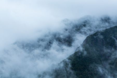 气候气象,云雾,自然风光,雾,俯瞰,航拍,植物,山峦