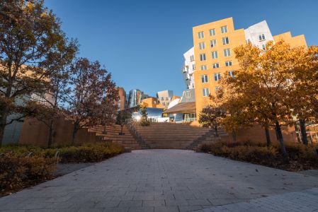 街道,现代建筑,城市街道,城镇,建筑,植物,树木