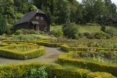 植物,自然公园,国外,自然风光,智利,巴拉斯港Puerto Varas