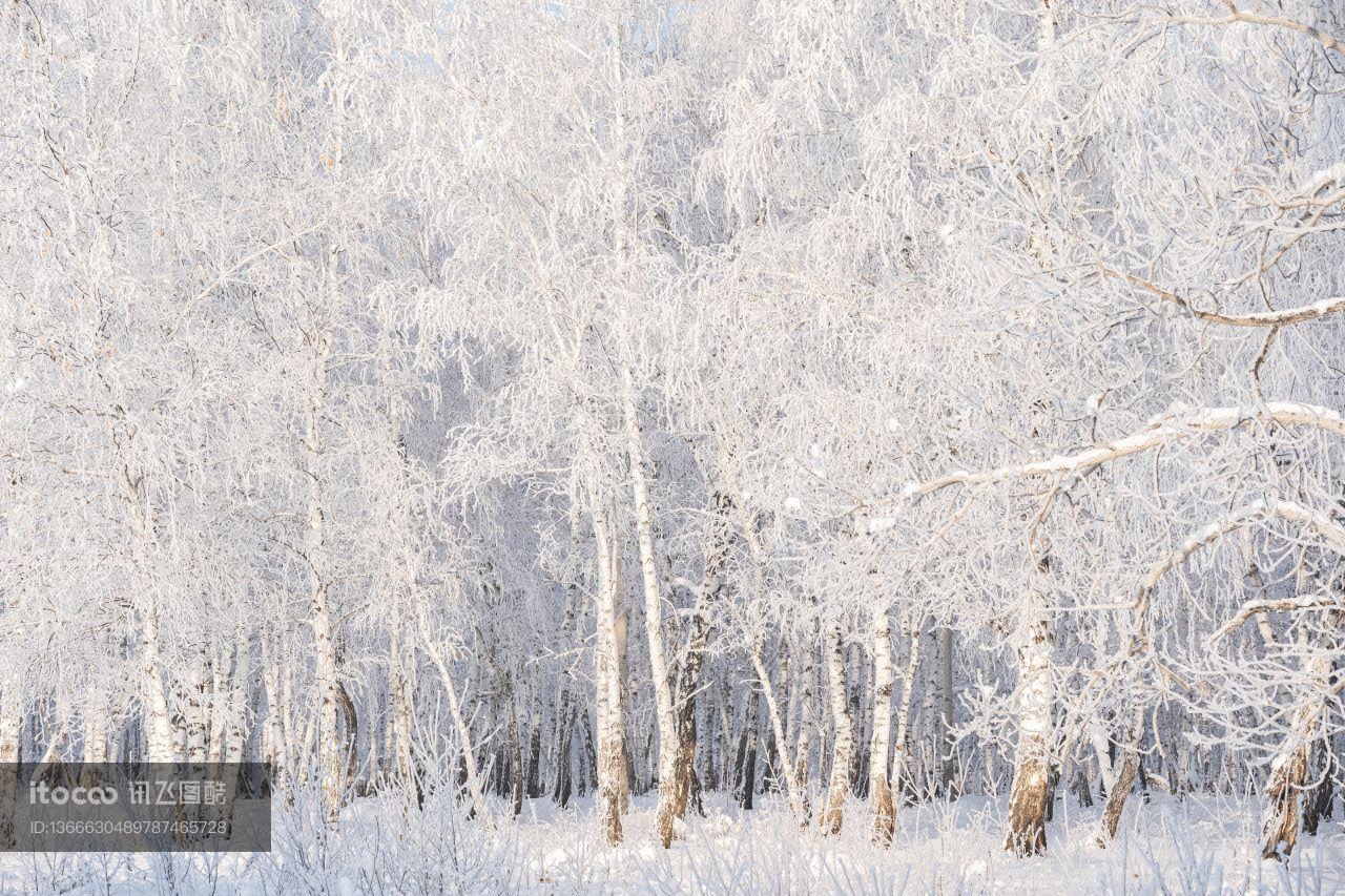 俄罗斯,冰雪,自然风光