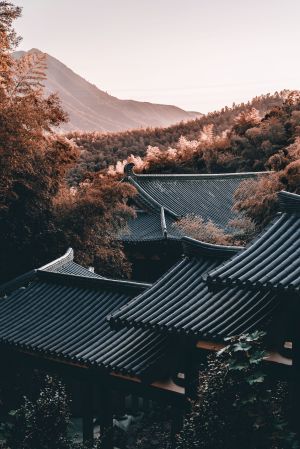 航拍,传统建筑,建筑,历史古迹,自然风光,城镇,俯瞰,植物,森林,天空,树木,山川