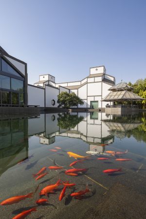 建筑,城镇,历史古迹,动物,鱼类,苏州,苏州博物馆,全景,中国,江苏