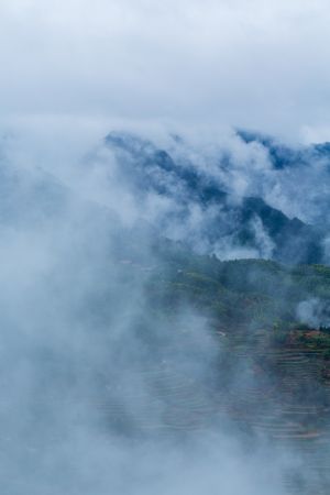 自然风光,雾,俯瞰,航拍,天空,森林,山川,植物,树木