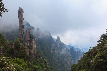 岩石,中国,三清山,云雾,江西,山川,峡谷,天空,植物