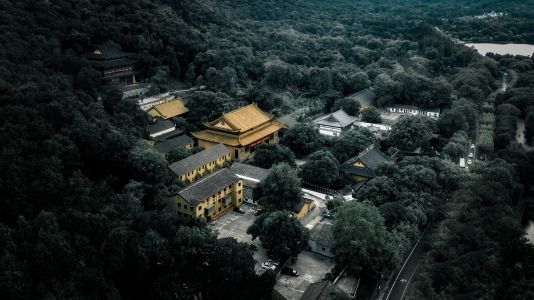 建筑,森林,航拍,城镇