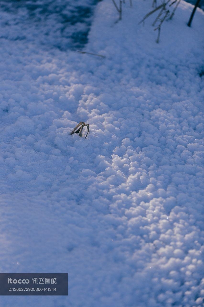 冰雪,雪原,自然风光