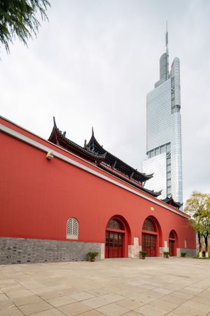 城镇,仰拍,历史古迹,天空,建筑,特写,都市,道路,植物,树木