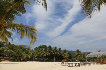 自然风光,海岛,沙滩,树木,天空,白云,植物