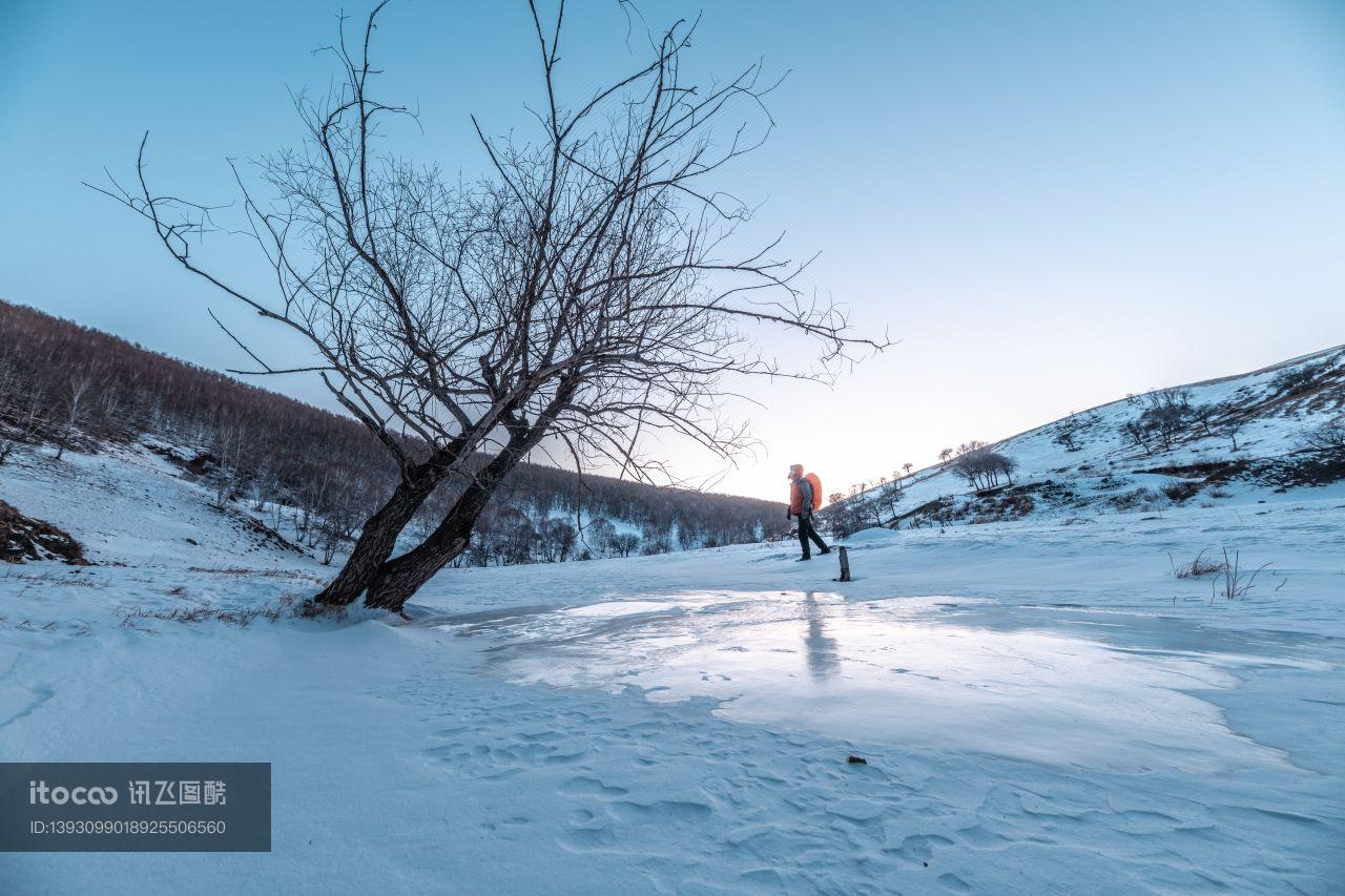 冬天,雪,自然风光