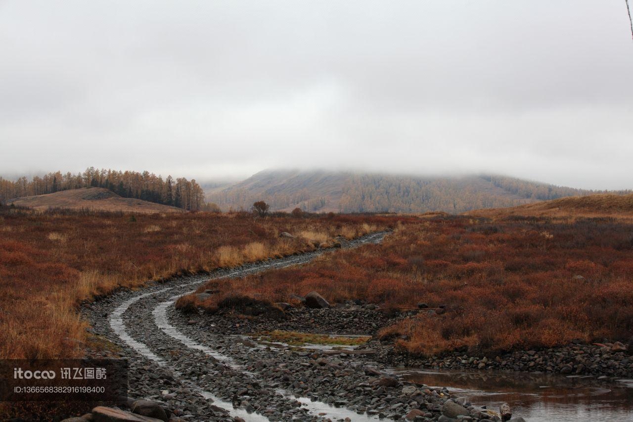 自然风光,道路,草原