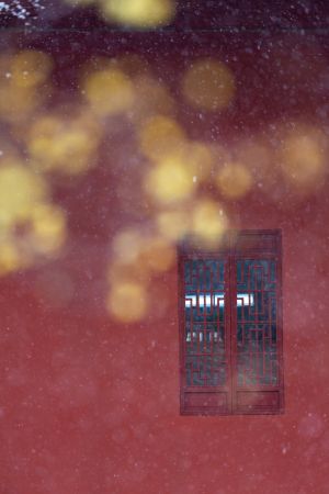 冬天,历史古迹,城镇,建筑,特写,雪,窗户