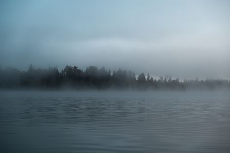 自然风光,雾,加拿大,湖泊,森林,植物,树木