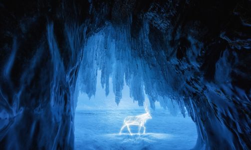 自然风光,冰川,俄罗斯,哺乳动物,动物,洞穴溶洞,鹿