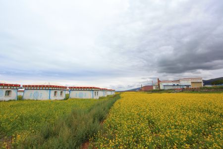 山川,自然风光,青海,草原,全景,天空,白云