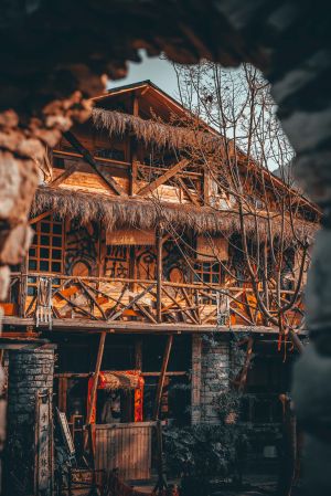 建筑,历史古迹,城镇,村镇,特写,植物,树木,天空