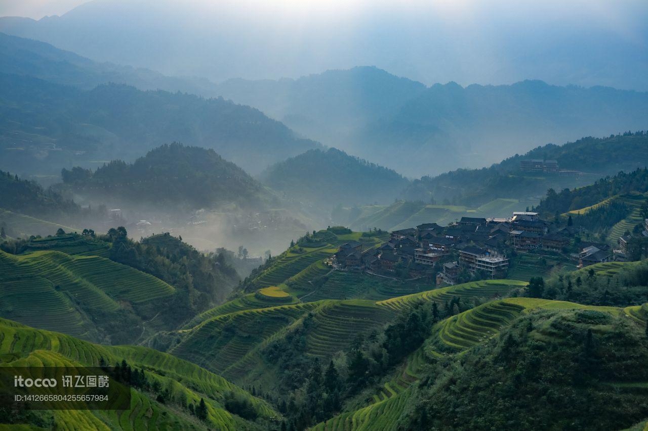 植物,山峦,自然风景