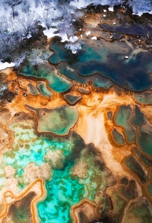 自然风光,冬天,航拍,俯瞰,湖泊,树木,森林,雪,植物