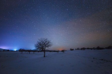 自然风光,天空,星星,星空,夜晚,气候气象,宇宙天文,天文摄影,树木,平原