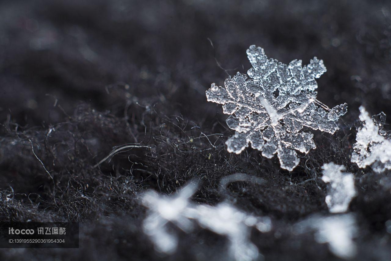 雪花,水晶,湿