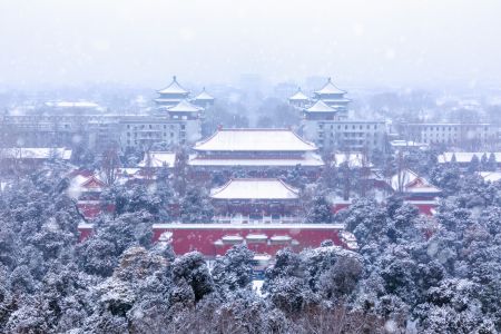 冬天,建筑,中国,北京,景山公园,历史古迹,自然风光,城镇,天空,俯瞰,植物,树木,森林,雪,雾
