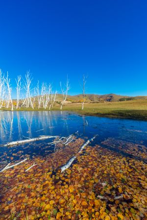 湖泊,天空,自然风景,自然风光,秋天,植物,江河