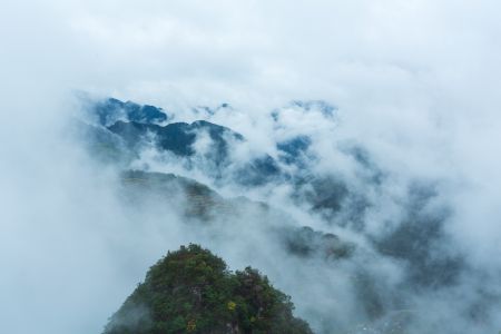 自然风光,雾,俯瞰,航拍,森林,山川,植物,树木