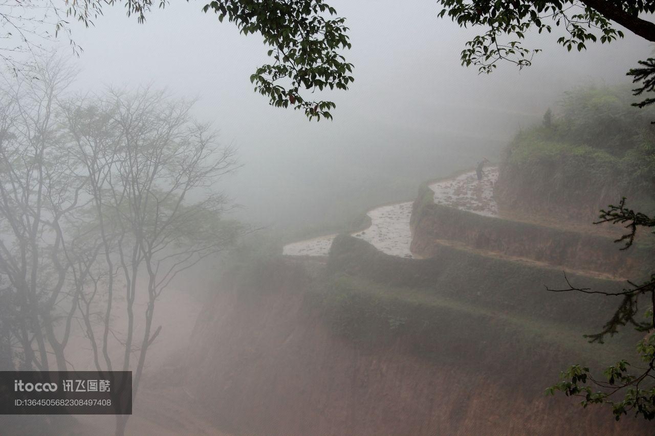 自然风光,雨,气候气象