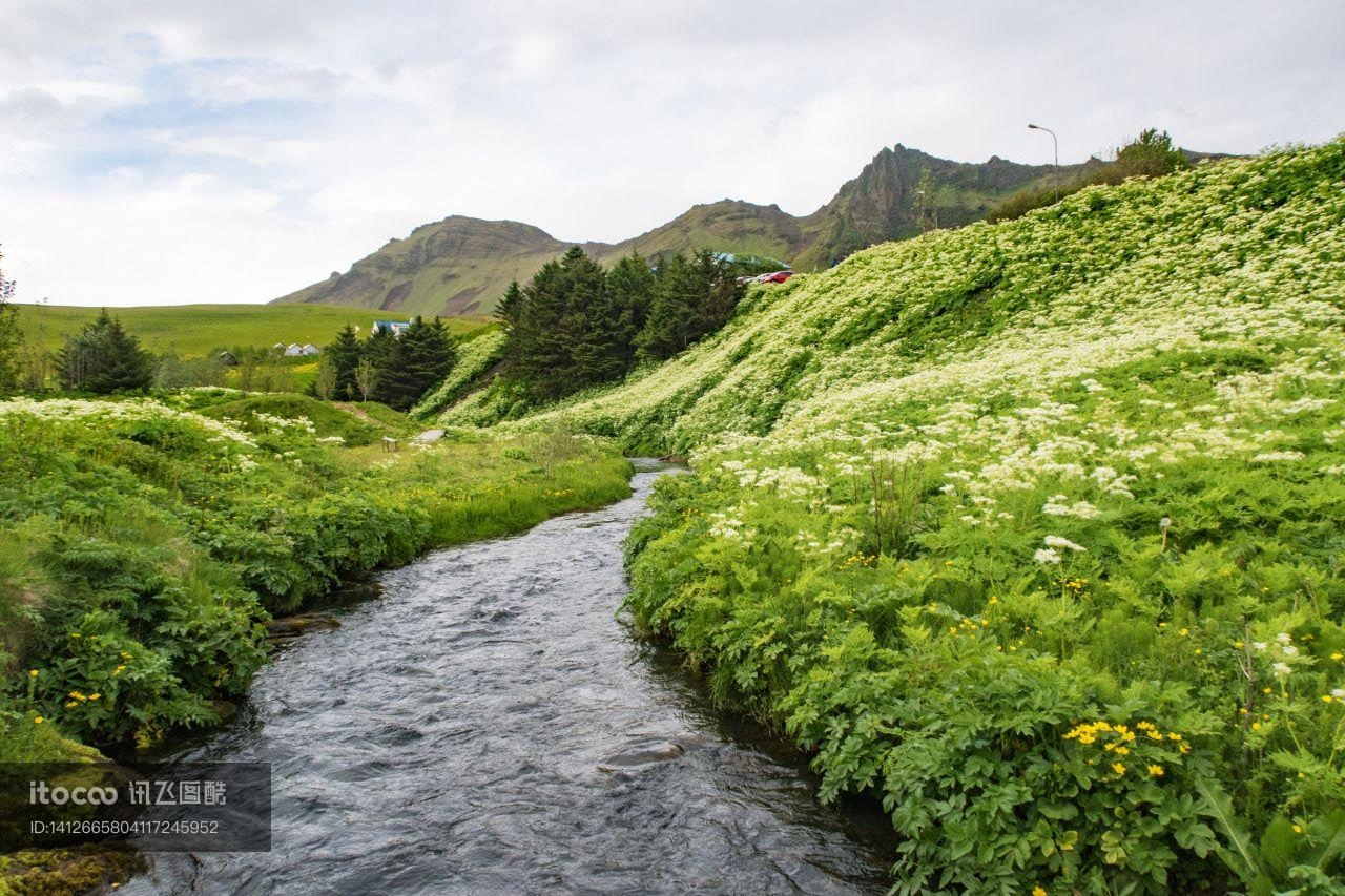植物,自然风景,山峦