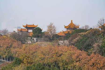 武汉,黄鹤楼,自然风光,景点