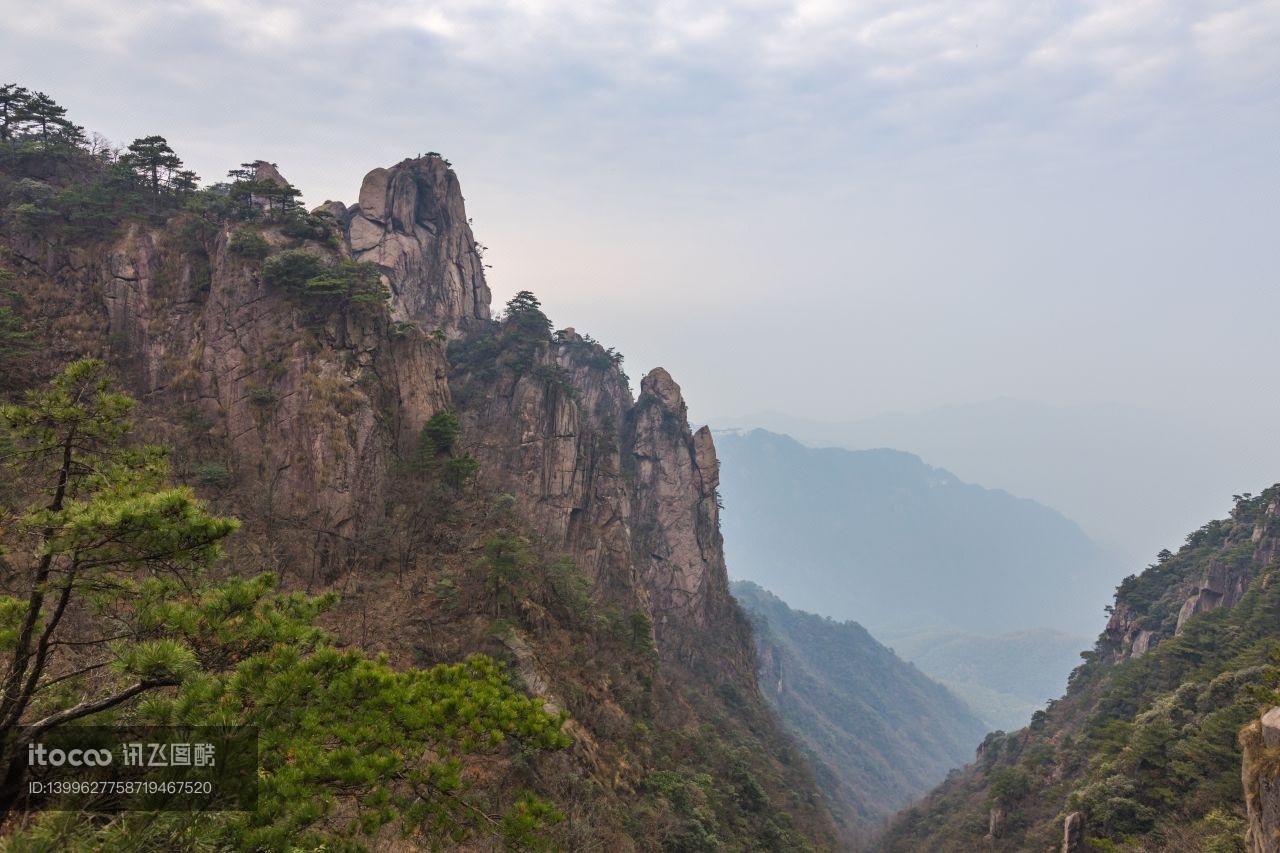 九华山,植物,中国