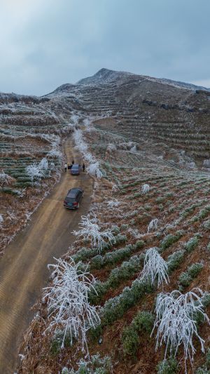 自然风光,山峦,冰雪,青草,道路,汽车