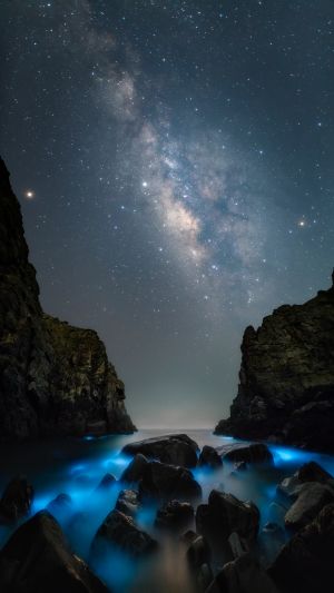 自然风光,星空,星星,岩石,天空,夜晚,海洋