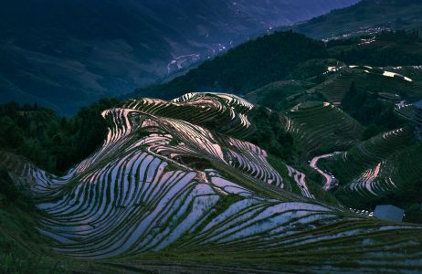 植物,自然风光,梯田,成片种植